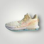 LEBRON EASTER WITNES 6 BASKETBALL SHOES